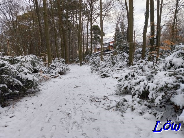 15.2.2026 - Teilweise mehr Schnee